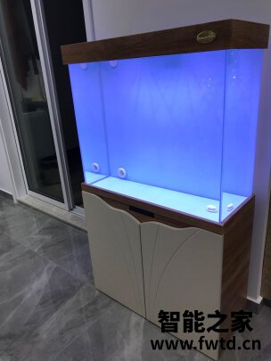 arowanahome鱼缸怎么样?讲一讲体验真相感受? 