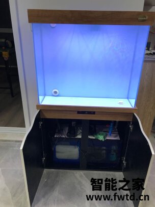 arowanahome鱼缸怎么样?讲一讲体验真相感受? 