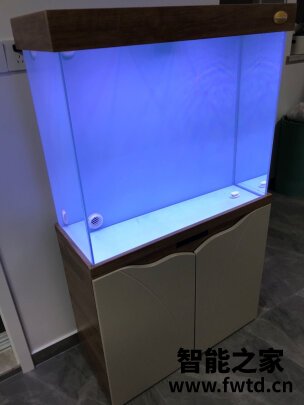 arowanahome鱼缸怎么样?讲一讲体验真相感受? 