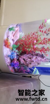 讲真的arowanahome是什么牌子?这牌子的鱼缸值得入手吗 讲真的arowanahome是什么牌子?这牌子的鱼缸值得入手吗