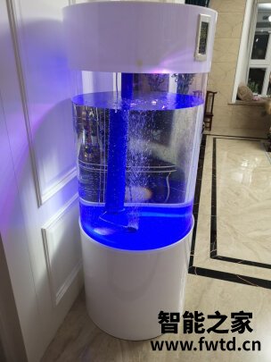 讲真的arowanahome是什么牌子?这牌子的鱼缸值得入手吗 讲真的arowanahome是什么牌子?这牌子的鱼缸值得入手吗