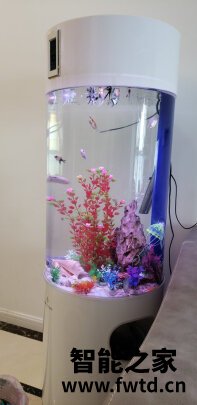 讲真的arowanahome是什么牌子?这牌子的鱼缸值得入手吗 讲真的arowanahome是什么牌子?这牌子的鱼缸值得入手吗