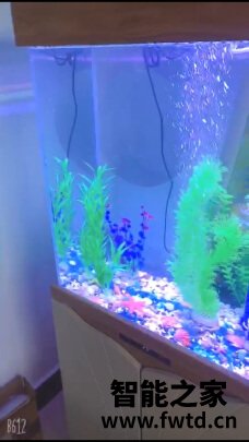 老实讲arowanahome鱼缸怎么样?讲一讲体验真相感受? 老实讲arowanahome鱼缸怎么样?讲一讲体验真相感受?