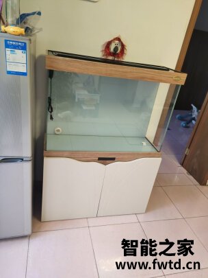 老实讲arowanahome鱼缸怎么样?讲一讲体验真相感受? 老实讲arowanahome鱼缸怎么样?讲一讲体验真相感受?