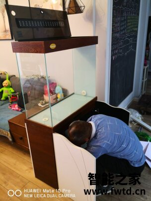 老实讲arowanahome鱼缸怎么样?讲一讲体验真相感受? 老实讲arowanahome鱼缸怎么样?讲一讲体验真相感受?