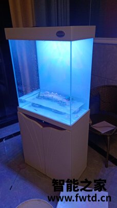 老实讲arowanahome鱼缸怎么样?讲一讲体验真相感受? 老实讲arowanahome鱼缸怎么样?讲一讲体验真相感受?