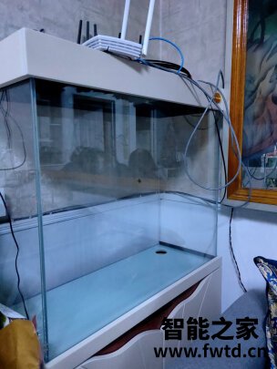 老实讲arowanahome鱼缸怎么样?讲一讲体验真相感受? 老实讲arowanahome鱼缸怎么样?讲一讲体验真相感受?