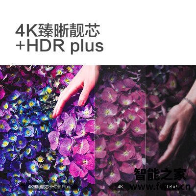 使用曝光飞利浦58PUF7295T3平板电视怎么样?全面解析曝光 使用曝光飞利浦58PUF7295T3平板电视怎么样?全面解析曝光