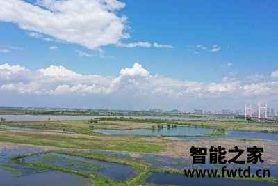 深度爆料:瑞可f11无人机和世纪f11区别哪个好?说说参数!使用五个月感受 深度爆料:瑞可f11无人机和世纪f11区别哪个好?说说参数!使用五个月感受