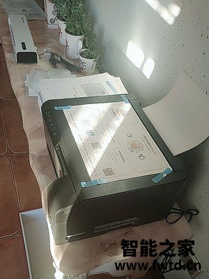 经验解析爱普生3153和3156哪个好？谁是性价比之王 