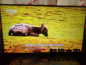 了解说说索尼KD-55X9500H怎么样,吐槽一个月问答知道!!!【问题大反馈 了解说说索尼KD-55X9500H怎么样,吐槽一个月问答知道!!!【问题大反馈