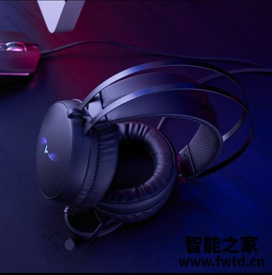 经验解析雷柏vh310和vh160有什么不同?良心点评配置区别 经验解析雷柏vh310和vh160有什么不同?良心点评配置区别
