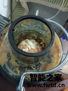 榨汁机哪个牌子好,苏泊尔多功能榨汁机怎么样 