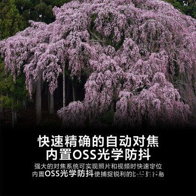 老司机告诉你索尼sel70200gm评测?质量怎么样值不值得买 老司机告诉你索尼sel70200gm评测?质量怎么样值不值得买