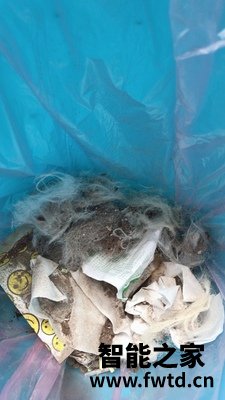 看了又看网易严选吸尘器T450怎么样?评测分析结果参考! 看了又看网易严选吸尘器T450怎么样?评测分析结果参考!