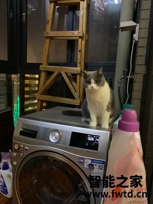深度对比:博世wap242682w和xqg100-wm12p2602w区别哪个好?使用参数分析 深度对比:博世wap242682w和xqg100-wm12p2602w区别哪个好?使用参数分析
