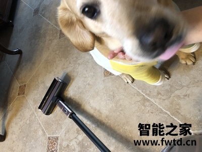 松下吸尘器WDB97一招分真假,评价很差是真是假? 