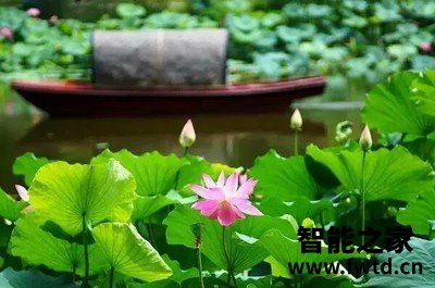 谁知道:明基w1130和w1120区别如何,说说选择哪个好些呀! 谁知道:明基w1130和w1120区别如何,说说选择哪个好些呀!