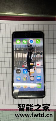 质量口碑评测:iPhone 8 Plus和iPhone 11 Pro Max哪个好区别?网友评价真实 质量口碑评测:iPhone 8 Plus和iPhone 11 Pro Max哪个好区别?网友评价真实
