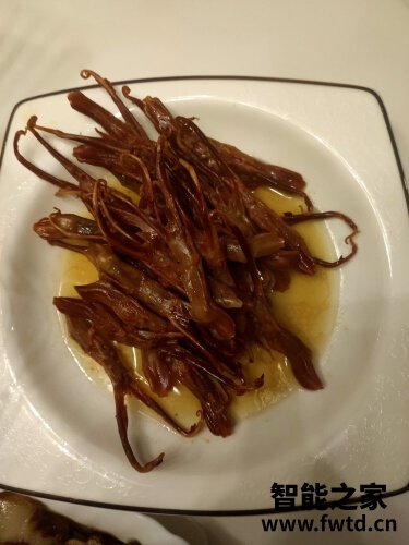 用后体验分享凯度sr56b-fd怎么样？一定要了解的评测情况