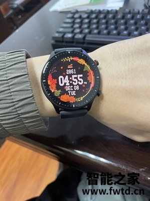 了解说说:区别华米Amazfit GTR 2e和GTR 2哪个好?对比三个月感受反馈 了解说说:区别华米Amazfit GTR 2e和GTR 2哪个好?对比三个月感受反馈