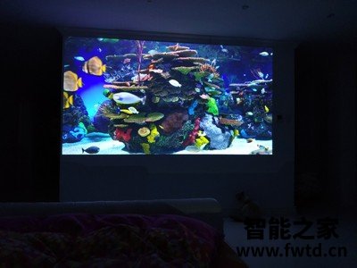 达人知:爱普生tw740和tw5700区别如何,亲们怎样选择哪个好! 达人知:爱普生tw740和tw5700区别如何,亲们怎样选择哪个好!