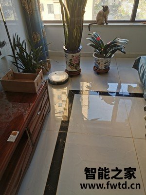 科沃斯N8pro和T8区别对比,都说说选择哪个好些!还可以不 科沃斯N8pro和T8区别对比,都说说选择哪个好些!还可以不