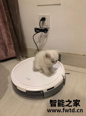 科沃斯地宝n8pro和T8max区别对比,大家怎么选择哪个好! 科沃斯地宝n8pro和T8max区别对比,大家怎么选择哪个好!