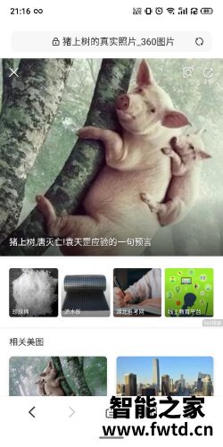 真实情况透露莱克b302和莱克b51哪个好？评测教你怎么选