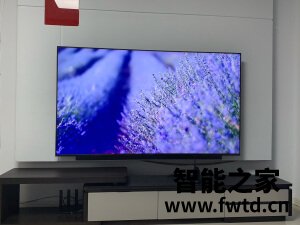 求问华为智慧屏V65i怎么样?属于什么档次?特别的垃圾吗? 求问华为智慧屏V65i怎么样?属于什么档次?特别的垃圾吗?