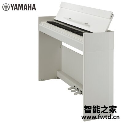 【不看后悔】雅马哈s54和kbp2100比较 哪款好？评测解读该怎么选
