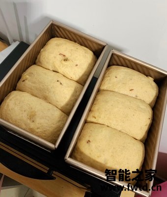 柏翠PE4866厨师机怎么样?优缺点曝光,真的有人被骗了吗 柏翠PE4866厨师机怎么样?优缺点曝光,真的有人被骗了吗