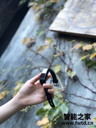 达人分享didoy1手环和Y2区别有什么不同?评测比较哪款好 达人分享didoy1手环和Y2区别有什么不同?评测比较哪款好