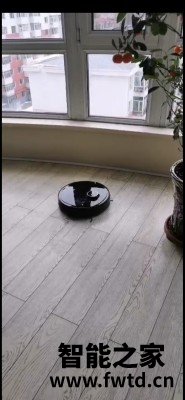 扫地机器人海尔P50评测怎么样?是否值得入手,不看后悔! 扫地机器人海尔P50评测怎么样?是否值得入手,不看后悔!