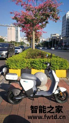很想知道九号电动车C30lite评测怎么样?好吗怎么样!! 很想知道九号电动车C30lite评测怎么样?好吗怎么样!!