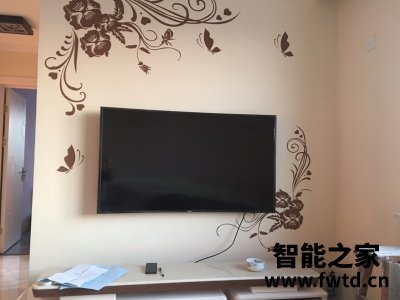 说说:东芝65M540F怎么样?完全真实的哦!! 说说:东芝65M540F怎么样?完全真实的哦!!