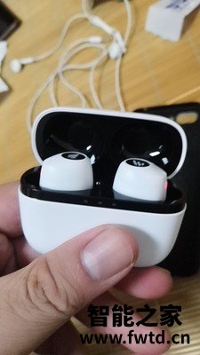 fiilt1pro和oppow51哪个好,说实话区别大吗! fiilt1pro和oppow51哪个好,说实话区别大吗!