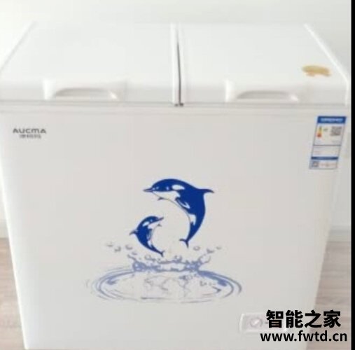 用后实情讲解澳柯玛166升冰柜耗能是0.52和网上不符是正品吗？应该怎么样选