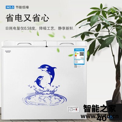 用后实情讲解澳柯玛166升冰柜耗能是0.52和网上不符是正品吗？应该怎么样选