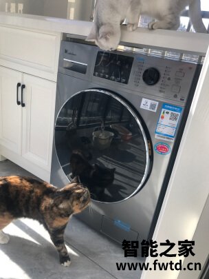 实力大比拼:西门子WG54C3B8HW怎么样?不看后悔 实力大比拼:西门子WG54C3B8HW怎么样?不看后悔