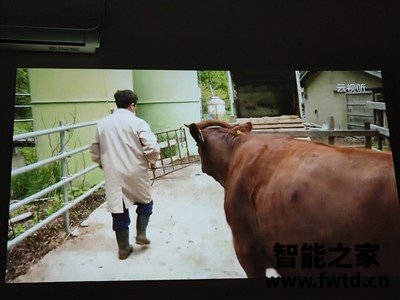 真相大吐槽:评测优派PJQ10HDpro怎么样?使用一个月分析优缺点!! 真相大吐槽:评测优派PJQ10HDpro怎么样?使用一个月分析优缺点!!