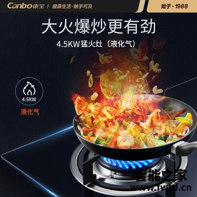 探索点评康宝JZY-2QL303B(B款Ⅵ)怎么样?【使用剖析】使用十天客观评价评测 探索点评康宝JZY-2QL303B(B款Ⅵ)怎么样?【使用剖析】使用十天客观评价评测