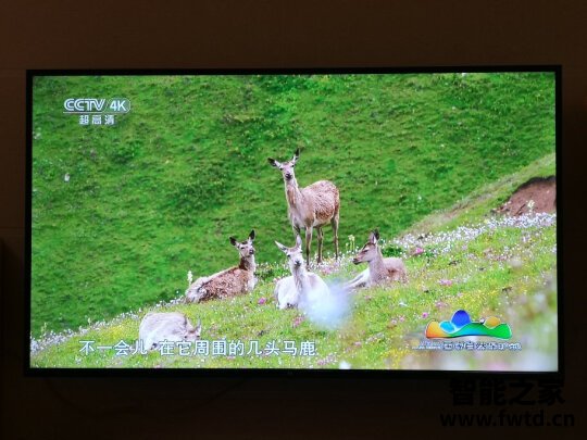 红米电视小米L50M5-RK怎么样质量好不好?两个月经验分享! 红米电视小米L50M5-RK怎么样质量好不好?两个月经验分享!