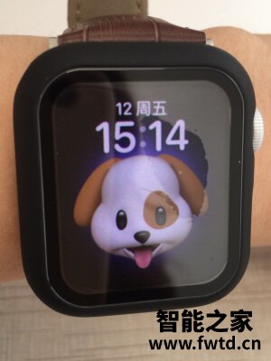 咨询求助Apple Watch Series 6和Apple Watch SE哪个好什么区别?真实内幕大 咨询求助Apple Watch Series 6和Apple Watch SE哪个好什么区别?真实内幕大
