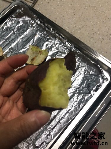 口碑实情分析法格329td和295v哪个好？评测解读该怎么选