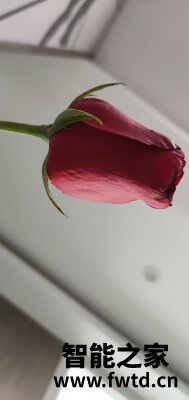 OPPO Reno4 Pro和OPPO Reno3 Pro哪个好什么区别真实使用揭秘,不看后悔哟 OPPO Reno4 Pro和OPPO Reno3 Pro哪个好什么区别真实使用揭秘,不看后悔哟