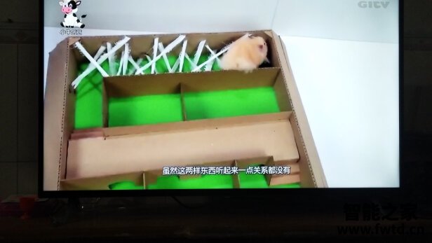 飞利浦58PUF7294/T3怎么样？质量好不好？真实内幕曝光！ 