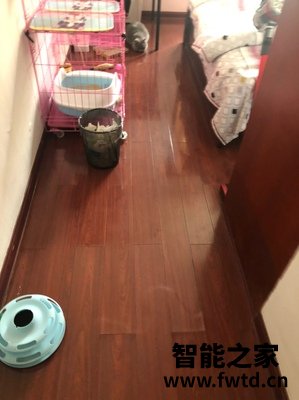 使用评测小狗T11 Plus吸尘器质量怎么样,3个月使用告知 使用评测小狗T11 Plus吸尘器质量怎么样,3个月使用告知