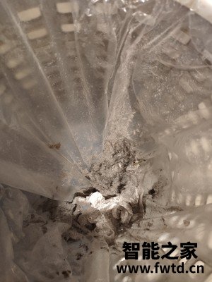 使用评测小狗T11 Plus吸尘器质量怎么样,3个月使用告知 使用评测小狗T11 Plus吸尘器质量怎么样,3个月使用告知
