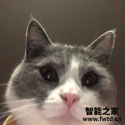 实话实说苏泊尔VCS63-C10怎么样,使用3个月反馈 实话实说苏泊尔VCS63-C10怎么样,使用3个月反馈